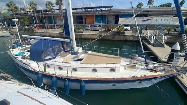 Spacious And Cozy Caribbean Boat In Barcelona With Tour Option Botel